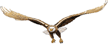 Eagles Flying High!